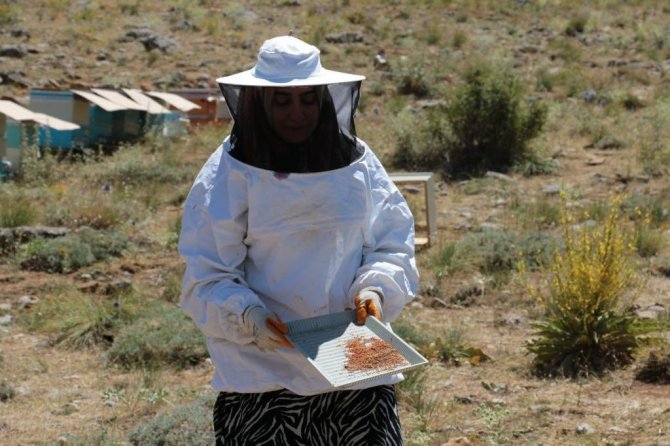 Uzmanlığını Anne Şefkati İle Birleştirip Arıcılığa Başladı