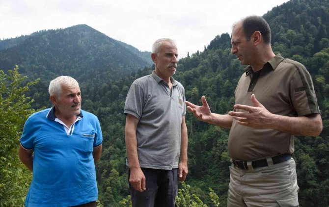 Artvin’de Bal Ormanları Arıcıların Hizmetine Açılmaya Devam Ediyor