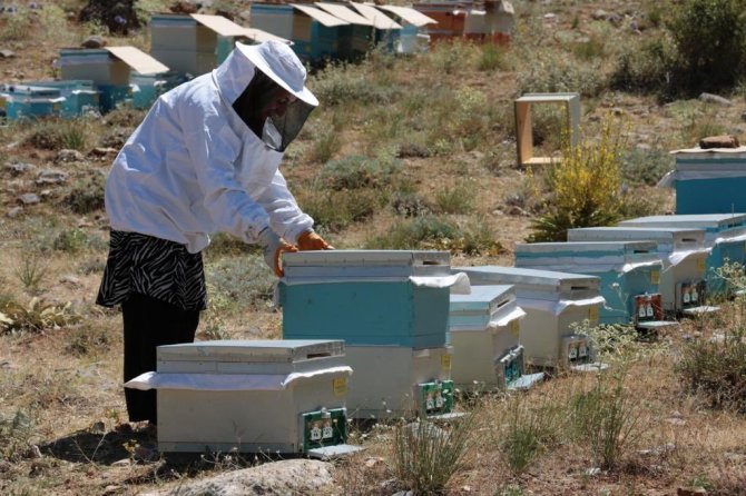Uzmanlığını Anne Şefkati İle Birleştirip Arıcılığa Başladı