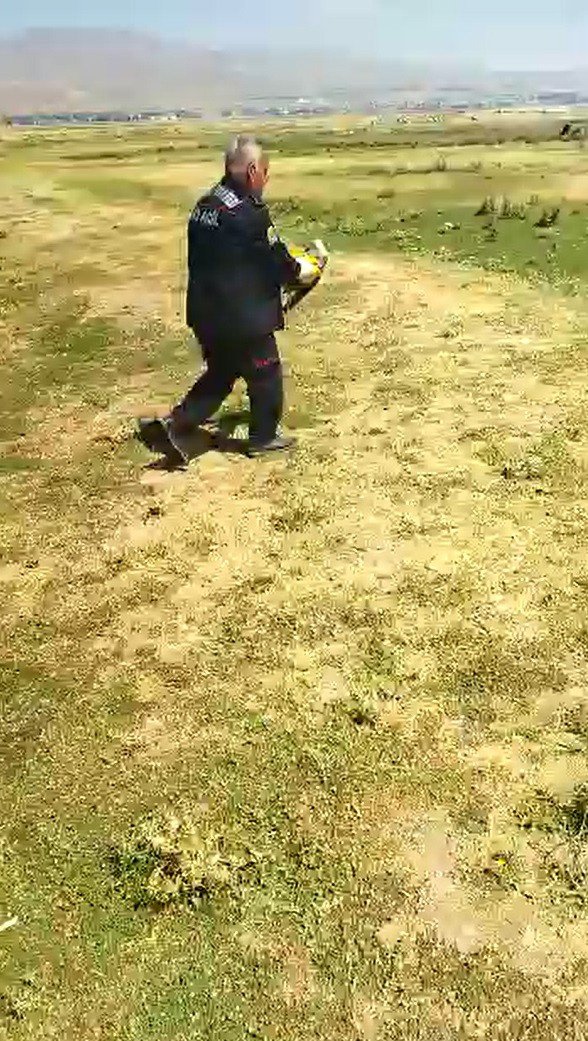 Telefon Direğinde Mahsur Kalan Martı Kurtarıldı