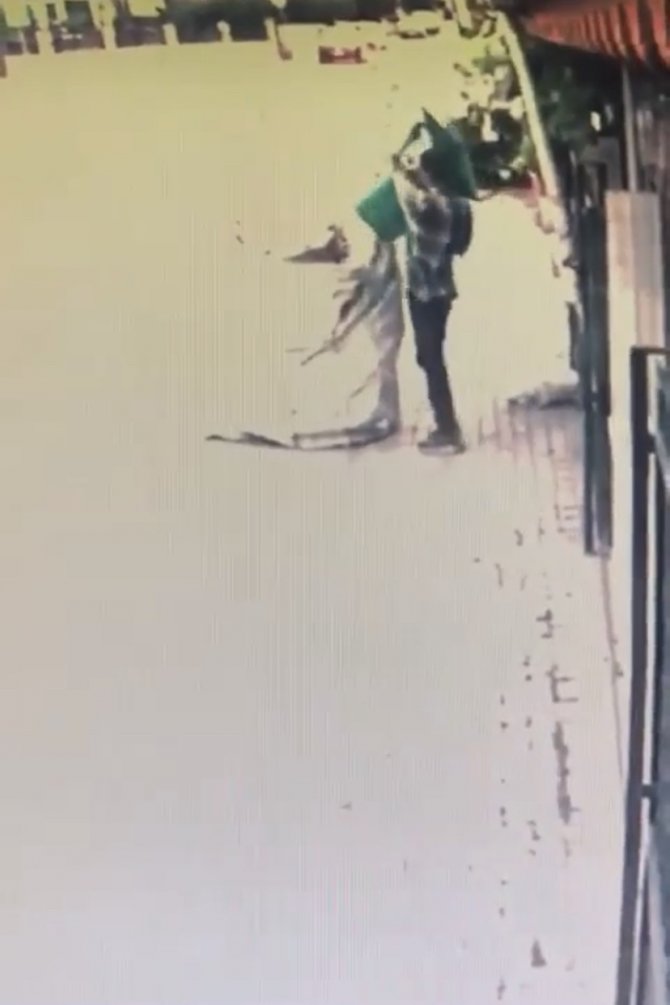 Pes Artık...bursa’da Çöp Kovası Hırsızlığı Kameralarda