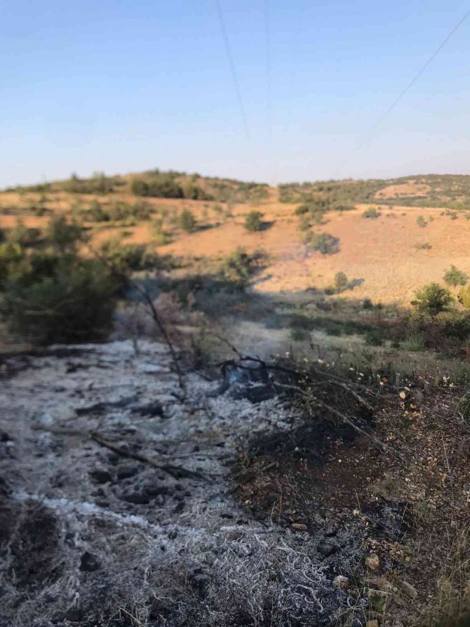 Ormanlık Alandaki Örtü Yangını Büyümeden Söndürüldü