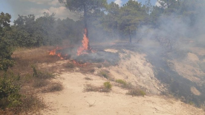 Edirne’de Orman Yangını Kontrol Altına Alındı