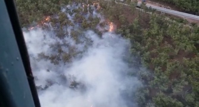 Manisa’da Ormanlık Alanda Yangın
