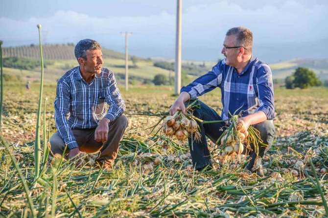 Bursa’da Tarım Gece Vardiyasına Başladı