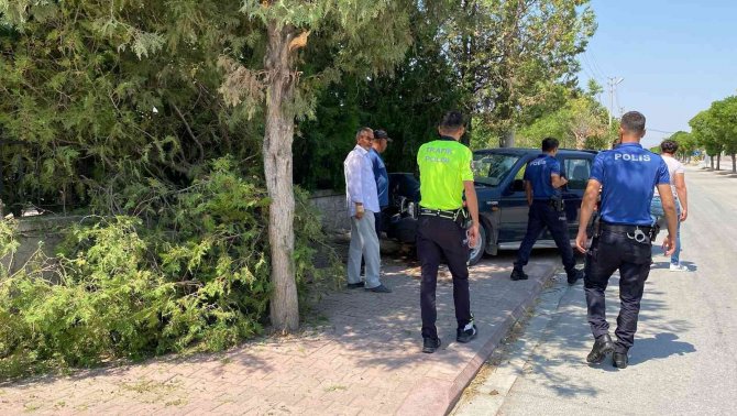 Kontrolden Çıkan Pikap Ağaca Çarptı: 2 Yaralı