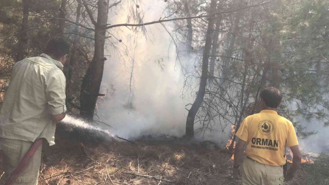 Spil Dağı’ndaki Orman Yangını Hızlı Müdahaleyle Söndürüldü
