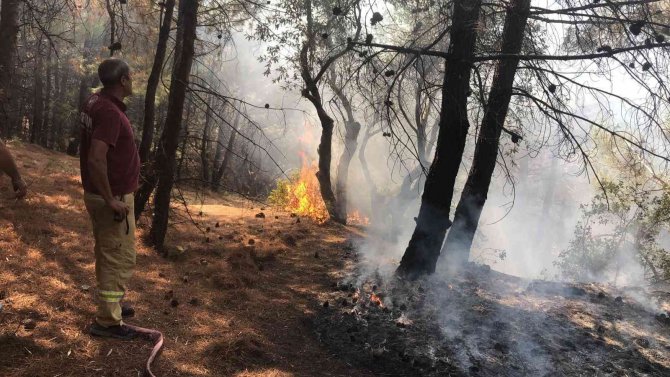 Spil Dağı’ndaki Orman Yangını Hızlı Müdahaleyle Söndürüldü