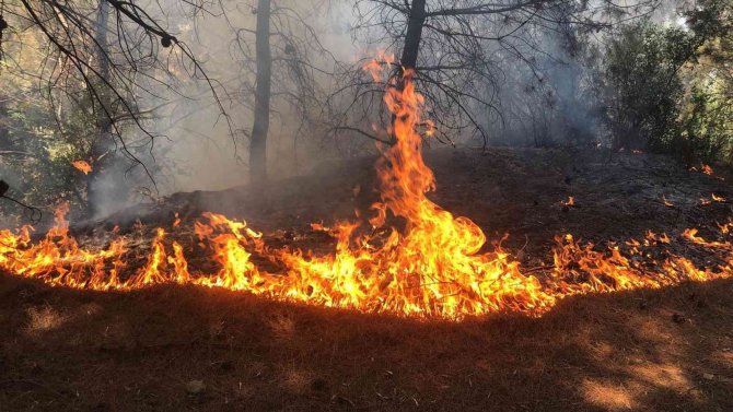 Spil Dağı’ndaki Orman Yangını Hızlı Müdahaleyle Söndürüldü
