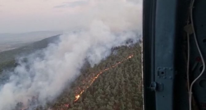 Manisa’da Ormanlık Alanda Yangın