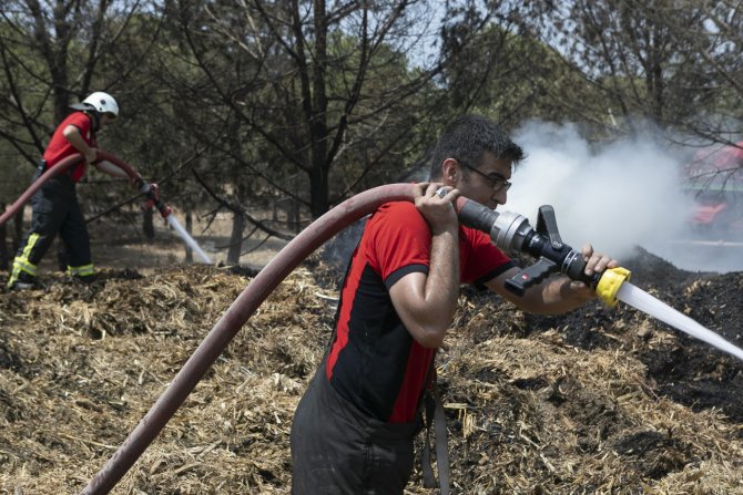 Saman Balyaları Alev Aldı, Yangın Ormana Sıçramadan Son Anda Söndürüldü
