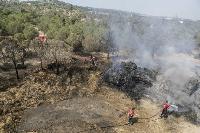 Saman Balyaları Alev Aldı, Yangın Ormana Sıçramadan Son Anda Söndürüldü