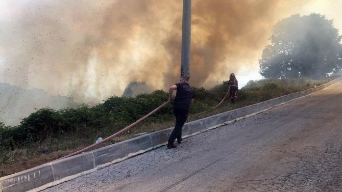 Sakarya’da Ormanlık Alanda Korkutan Yangın