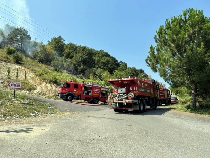Sakarya’da Ormanlık Alanda Korkutan Yangın