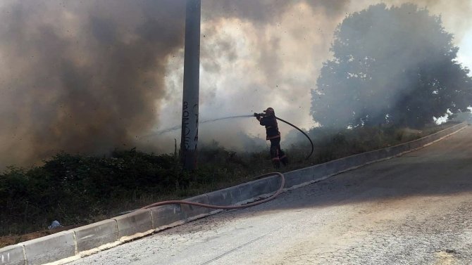 Sakarya’da Ormanlık Alanda Korkutan Yangın