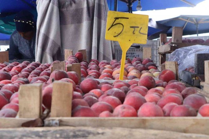 Pazarda Fiyatlar Dip Yaptı: Karpuz 1,5, Şeftali-salatalık 5 Lira