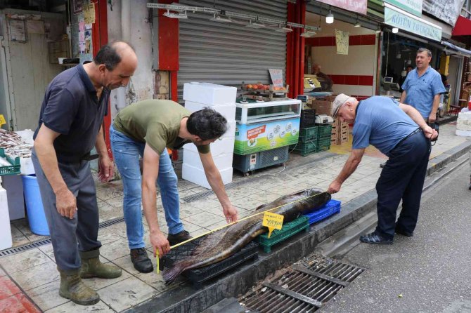 Dev Yayın Balığı Herkesin İlgi Odağı Oldu