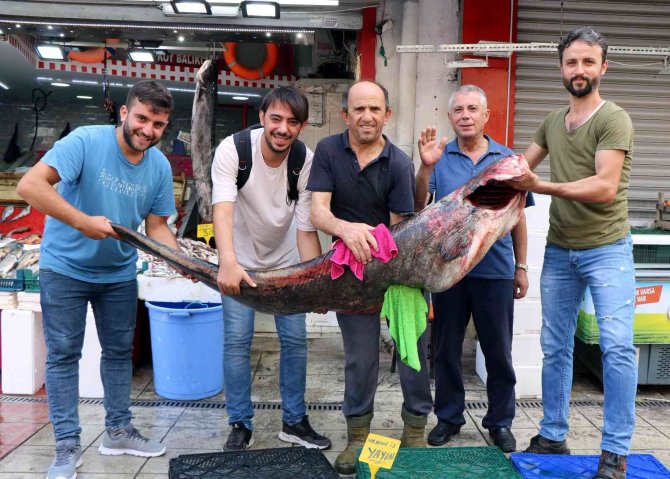 Dev Yayın Balığı Herkesin İlgi Odağı Oldu