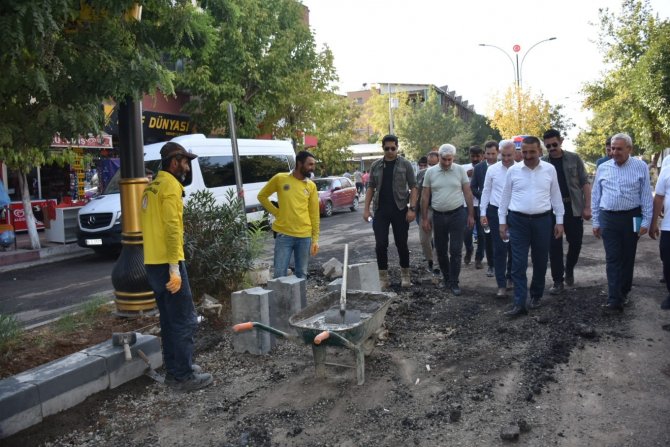 Siirt’te Asfalt, Parke, Kaldırım Ve Peyzaj Çalışmaları Devam Ediyor