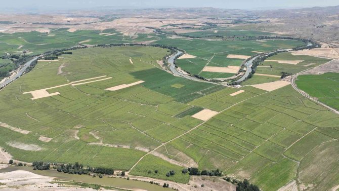 Vali Açıkladı, Üretimi Artıyor