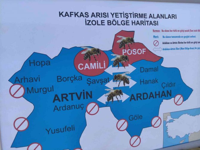 19. Ardahan Ulusal Kültür Ve Bal Festivaline Yoğun İlgi