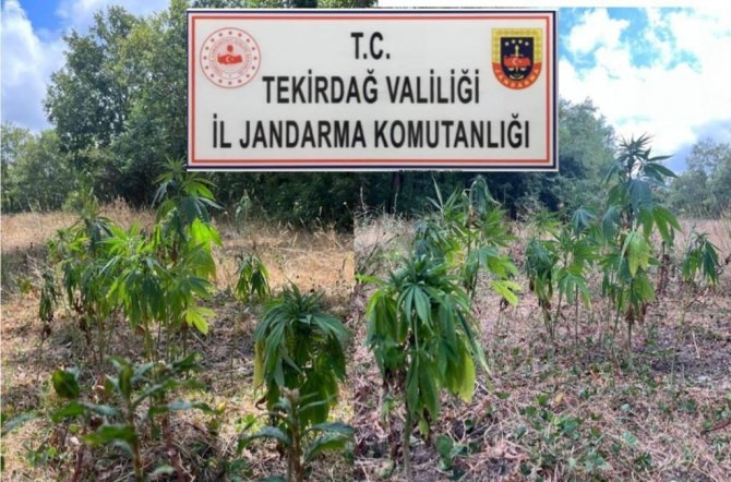 Tekirdağ’da Uyuşturucu Operasyonu: 1’i Gürcistan Uyruklu 4 Kişi Tutuklandı