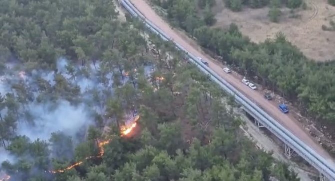 Manisa’da Ormanlık Alanda Yangın
