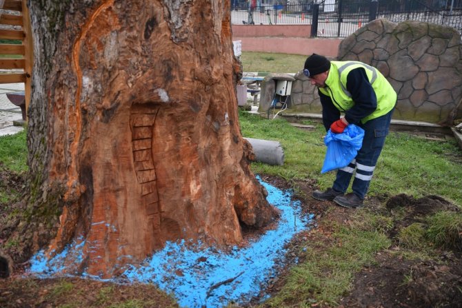 Asırlık Çınarlar ‘Çınar Hekimleri’ İle Güvende