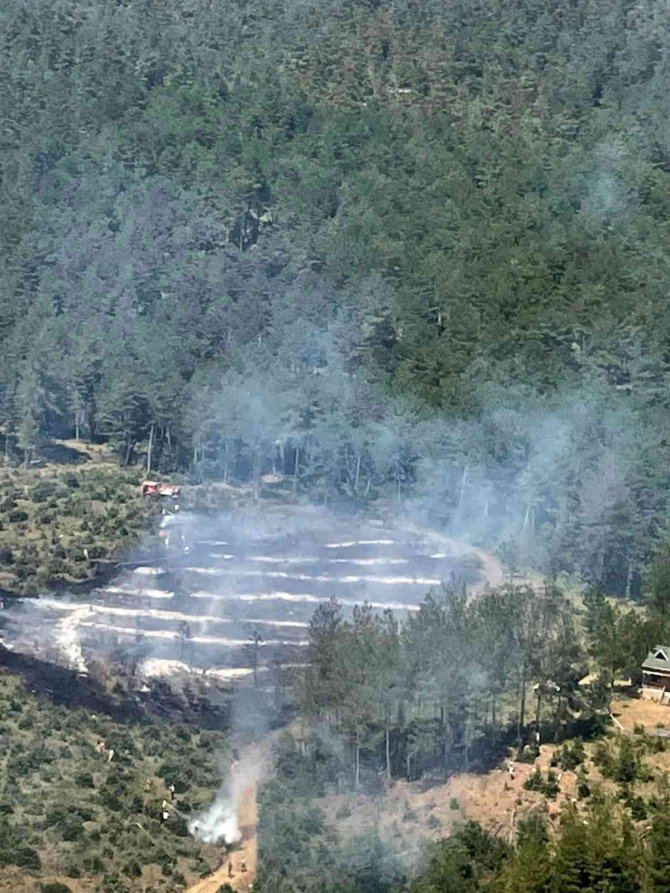 Bursa’da Orman Yangını