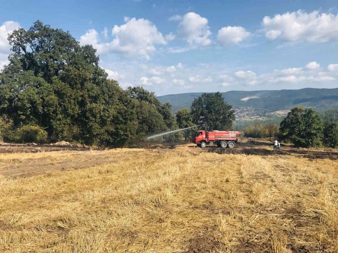 Çanakkale’de Çıkan Orman Yangını Kontrol Altına Alındı