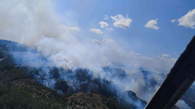 Çanakkale’de Orman Yangını