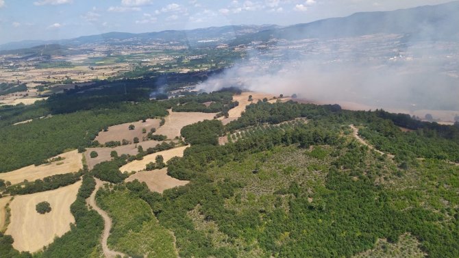 Çanakkale’de Orman Yangını