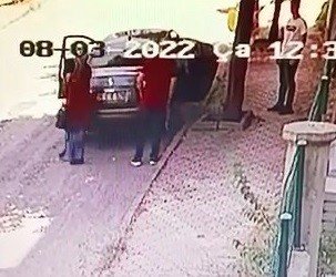 Yavru Kediyi Sokağa Attı, 2 Bin 724 Lira Ceza Yedi
