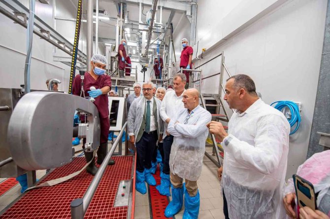 Tire Mezbahası Ve Süt İ̇şleme Tesisi Açılıyor