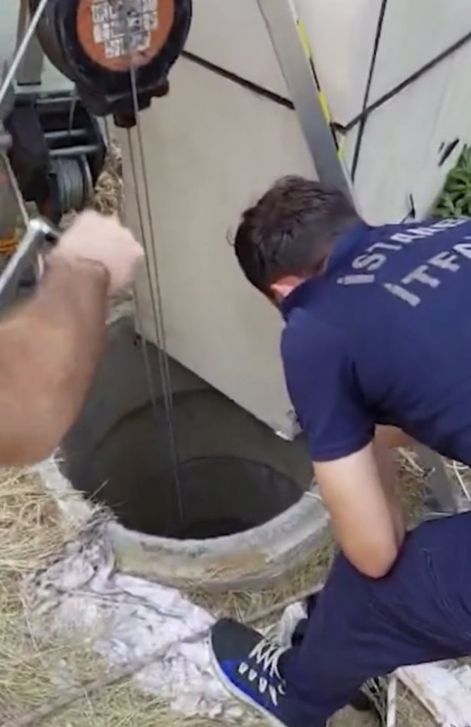 Maltepe’de Kuyuya Düşen Kediyi İtfaiye Ekipleri Kurtardı