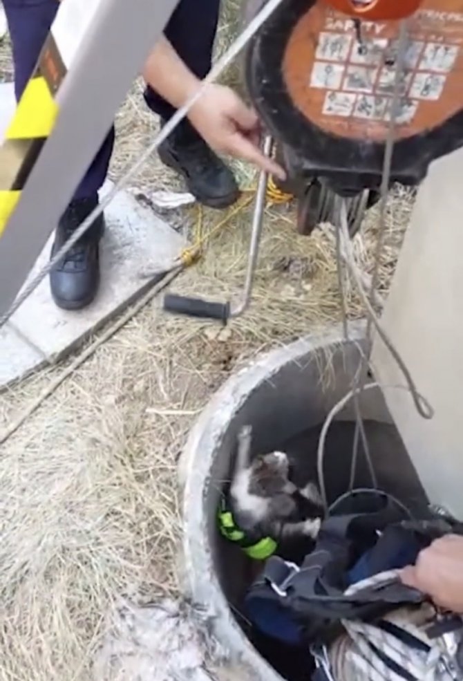 Maltepe’de Kuyuya Düşen Kediyi İtfaiye Ekipleri Kurtardı