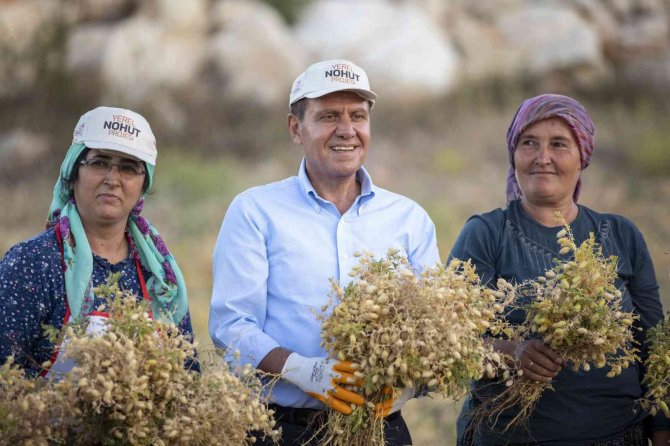 Seçer: "Tarımsal Üretime Katkı Sunmak İçin Her Türlü Desteği Yapıyoruz"