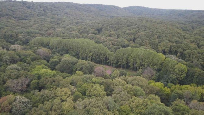 Sarıyer’de Dron Destekli Geniş Çaplı Asayiş Uygulaması
