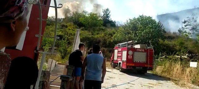 Tekirdağ’da Orman Yangını