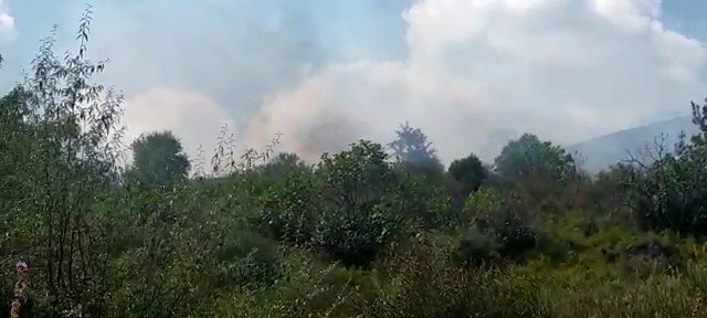 Tekirdağ’da Orman Yangını