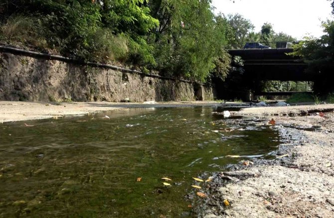 Ereğli İlçe Merkezini Lağım Kokusu Sardı