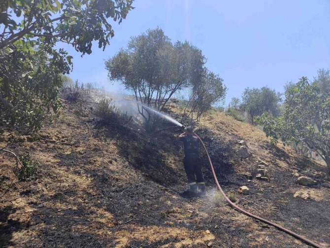 Kuşadası’nda Korkutan Yangın