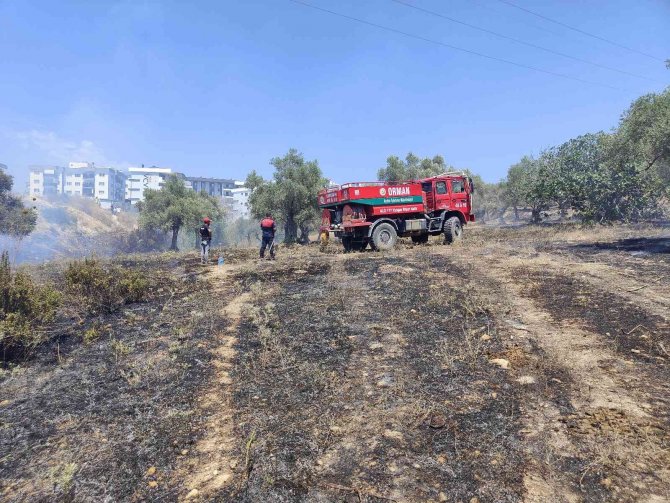 Kuşadası’nda Korkutan Yangın
