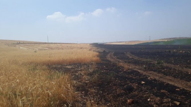 Manisa’da Anız Yangınlarına Karşı Uyarı