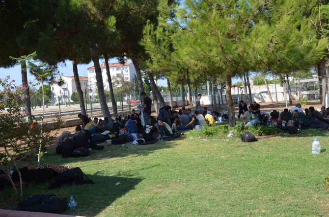Didim’de 97 Göçmen Kamyonet Kasasında Yakalandı