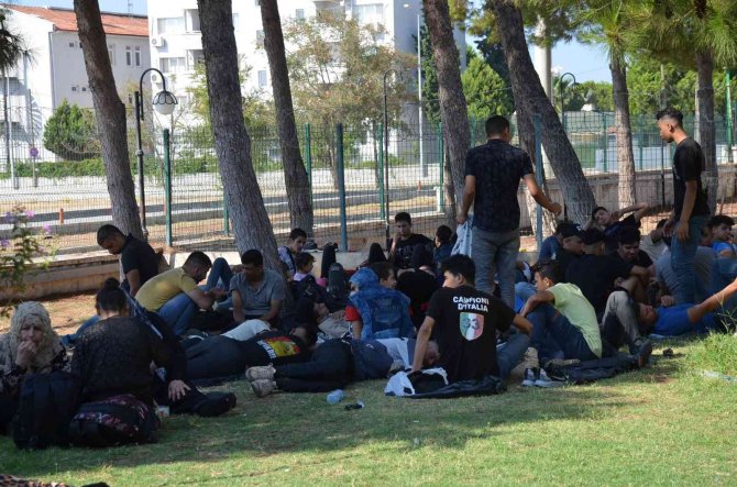 Didim’de 97 Göçmen Kamyonet Kasasında Yakalandı