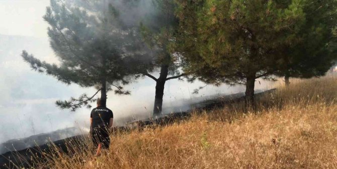 Edirne’de Ormanlık Alanda Çıkan Yangın, Büyümeden Söndürüldü