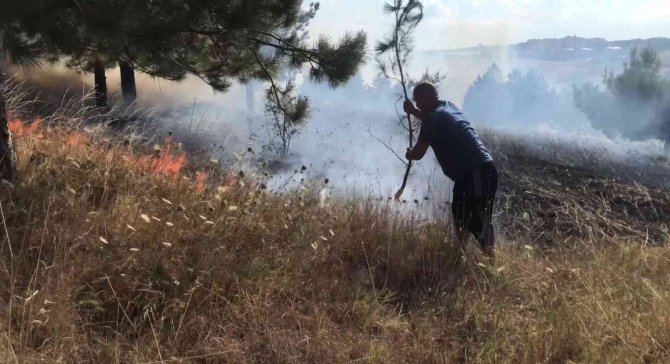 Edirne’de Ormanlık Alanda Çıkan Yangın, Büyümeden Söndürüldü
