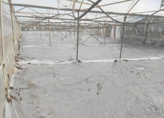 Mihalgazi Toprakları Solarizasyonla Korunuyor