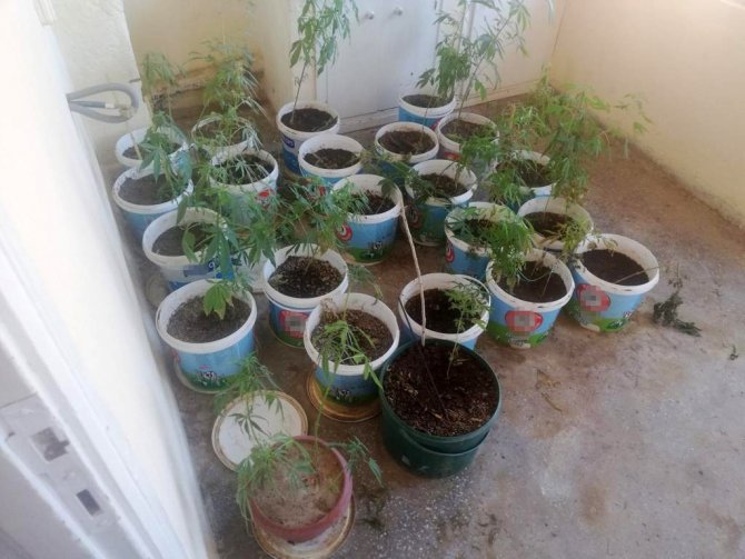 Manisa’da Uyuşturucu Operasyonu: 1 Kişi Tutuklandı